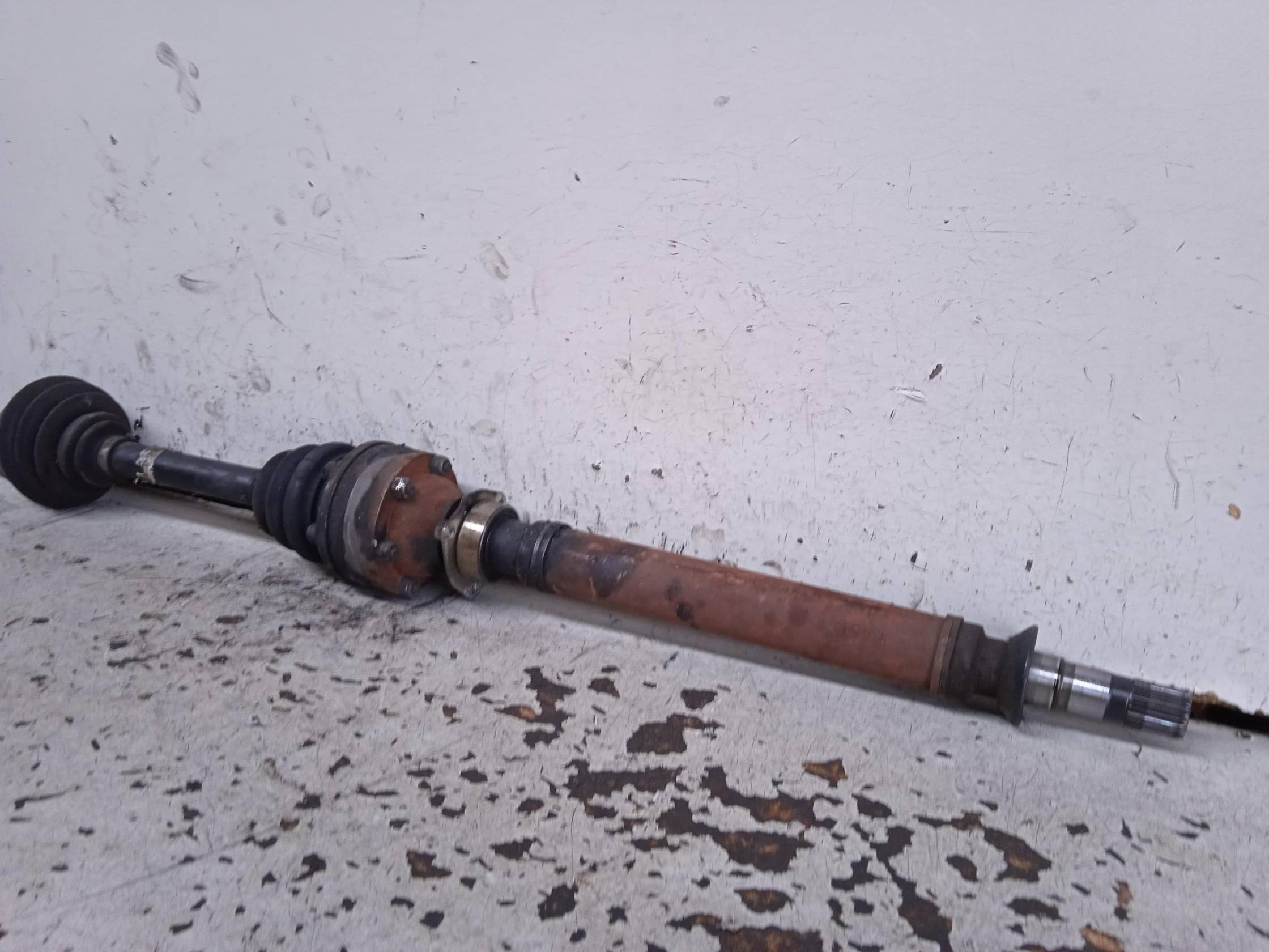 Semialbero ant. compl. dx.